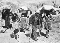 Italian refugees return to 
their homes while the New Zealand Division advances beyond the Gustav Line