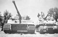 The Tiger tank captured 
intact by 22 Battalion at La Romola stands alongside one of 4 Armoured Brigade’s comparatively small Sherman 
tanks