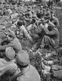 Germans captured by the New 
Zealanders near Massa Lombarda