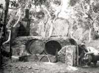 The Cookhouse Ovens, 37 NZ 
Battalion, Taom, New Caledonia