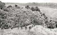 US Marines following a 
trail on Guadalcanal