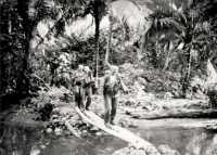 A patrol from 35 NZ 
Infantry Battalion crossing a creek on logs at Pakoi Bay