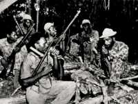 First Commando Fiji 
guerrillas in the Solomons