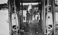 Uncrating an aircraft at 
Takoradi, july 1942