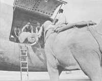 C-46’s on the 
Assam-China Route, Loading Gasoline Drums