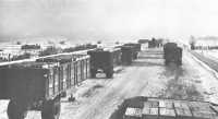 Loaded 10-ton Semitrailers, 
Antwerp Surge Pool, waiting for the haul to forward depots, January 1945