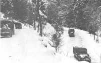 Convoy of trucks carrying 
essential supplies for Seventh Army travels over snow-covered winding roads in the Vosges mountains