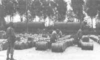 German prisoners of war 
filling 50-gallon oil drums from railroad tank cars