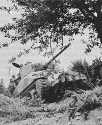 Rhino Tank with hedgerow 
cutter crashing through a hedgerow