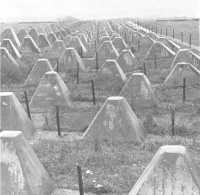 The Siegfried Line