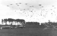 82nd Airborne Division drop 
near Grave