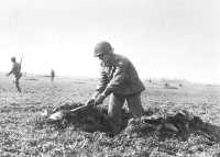 Men of the 104th Division 
dig foxholes near Standdaarbuiten