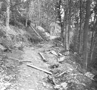 Kall trail, looking toward 
Vossenack