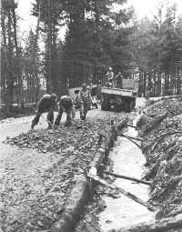Engineers repair a road in 
the Hürtgen Forest, 25 November