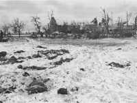 Massacred American Soldiers 
near Malmédy