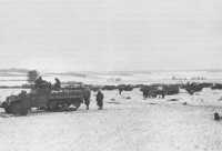 11th Armored Division 
Half-Tracks Massed on the Outskirts of Bastogne