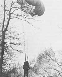 American paratrooper caught 
in a tree