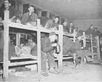 Russian prisoners liberated 
by the Ninth Army