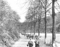 German soldiers on the way 
to a prisoner-of-war camp without guard