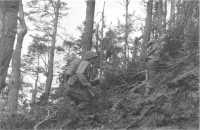 Japanese-American Infantry 
(442nd RCT) in hills around Bruyères