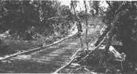 Marine engineers erected 
this bridge across the Tenaru River to speed the flow of troops and supplies from the beaches to the perimeter