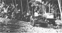 Marine light tanks, 
mounting machine guns and 37-mm cannon, were severely hampered in their operations by the jungle terrain of Guadalcanal