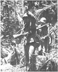 field telephone lines, the 
primary means of communication in the jungle, are laid by armed Marine wiremen on Bougainville