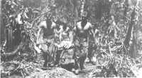 Marine wounded are 
carried down a steaming jungle trail from Hill 1000 during the fighting in early December
