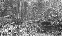75-mm Half-track and 
37-mm gun of Weapons Company, 7th Marines which helped beat back a Japanese counterattack on Hill 660
