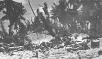 Squad Leader points out 
the enemy ahead as Marines crawl inland under fire at Betio