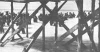 Reinforcements, seen 
through the framework of a Japanese pier, wade ashore at Betio