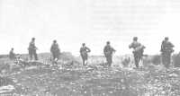 SKIRMISH LINE of 27th 
Division infantrymen moves out to mop up the enemy on Nafutan Point