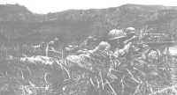 Firing line of 3rd 
Division riflemen engage the enemy in the hills above Asan