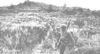 Column of soldiers of the 
305th Infantry advances cross-island on 31 July at the start of the attack on northern Guam