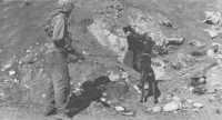 Doberman Pinscher of the 
6th War Dog Platoon and handler approach enemy cave