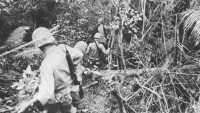 Heavy undergrowth on the 
Ishikawa Isthmus hinders the progress of a 4th Marines patrol advancing to the north of Okinawa