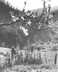 Mountain infantry in Tole 
area