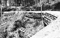 Supply road on Bougainville 
built by Army engineers