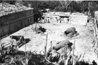 Battery Way, 12-inch mortar 
pit (photograph taken in 1945)