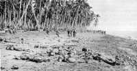 After the Ilu river 
battle, bodies of enemy soldiers littered the sand bar which they had attempted to cross against heavy fire from the 1st 
Marines