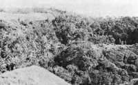 Positions on hill 67 
marked the farthest point of advance of the 1st Raider Battalion in the 27 September attempt to drive the Japanese out 
of the Point Cruz area