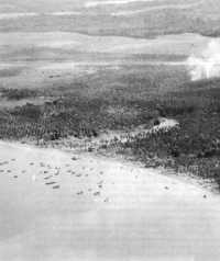 Reinforcements landed at 
Lunga Point did not appear numerically great and, possibly, deceived the Japanese into underestimating American 
strength