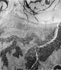 The Point Cruz Trap into 
which the Japanese were pushed by the advance of 1–4 November, is shown at the top of this vertical aerial 
photograph