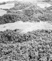 The Gifu, Japanese strong 
point in Mount Austen, lay on the jungled slopes between Hills 31 and 27, at the top of the picture