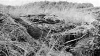 The 27th Infantry cleaned 
out the enemy from positions such as the one below, dug into the coral rock hillside and camouflaged with kunai grass 
laid over a stick framework
