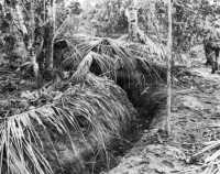 Coconut log bunker with 
fire trench entrance in the Buna Village area