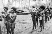 “Fuzzy wuzzy” 
natives carrying a wounded soldier to a first aid station in the rear area