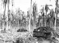 Disabled Bren gun carriers 
in the Duropa Plantation