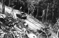 Two light tanks m3 of the 
754th Tank Battalion heading up Hill 700 during the afternoon of 9 March