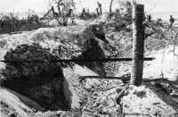 Japanese Entrenchments on 
Burton
